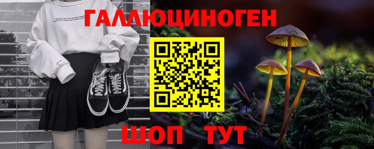 наркошоп  Вход с VPN  Волгоград  Галлюциногенные грибы Cubensis 